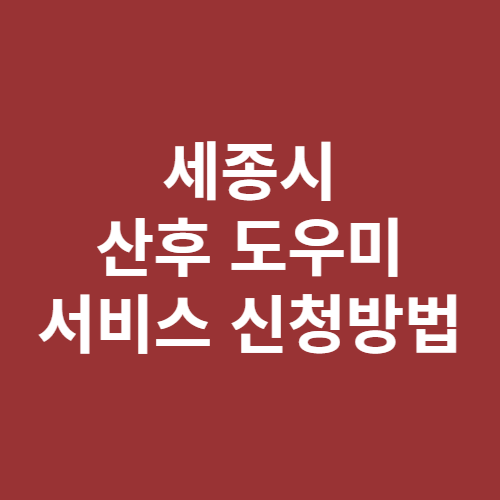 세종시 산후도우미