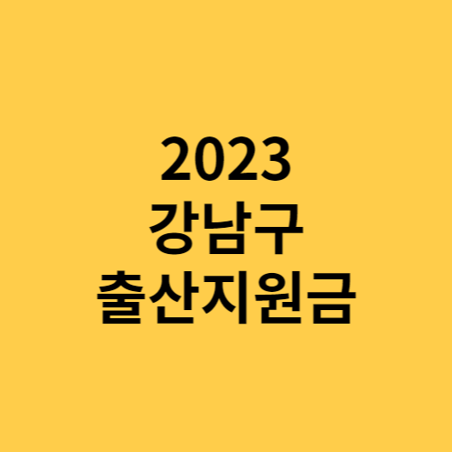 강남구 출산지원금