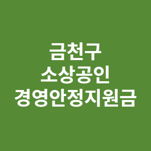 금천구 소상공인 경영안정지원금