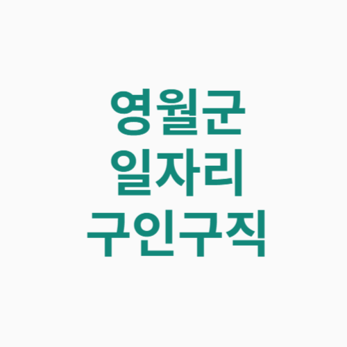 영월군 일자리 구인구직