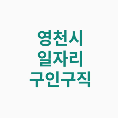 영천시 일자리 구인구직