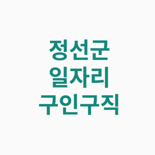 정선군 일자리 구인구직