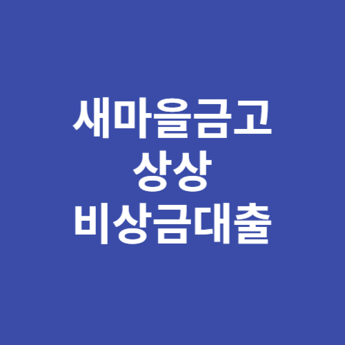 새마을금고 상상 비상금대출