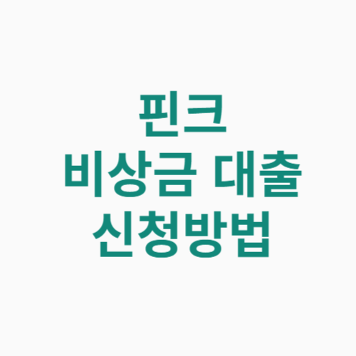 핀크 비상금 대출