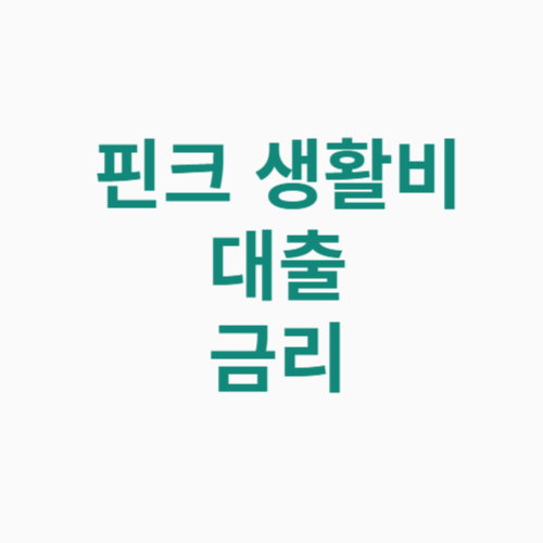 핀크 생활비대출 금리