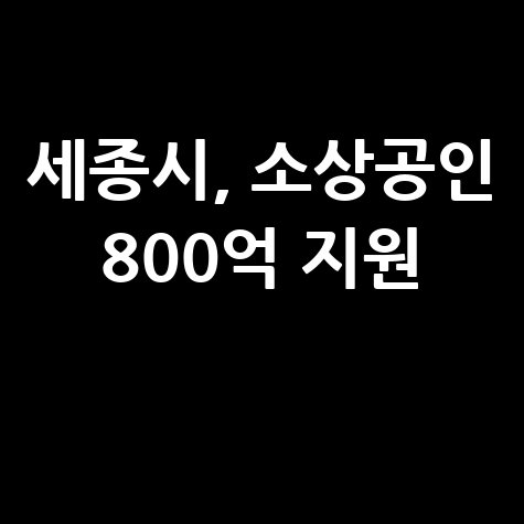 세종시  소상공인 경영안정자금 지원 신청방법