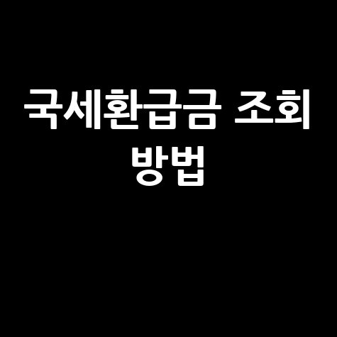국세환급금 조회, 손택스로 3초 만에! 삼쩜삼보다 빠른 환급금 찾는 법 (신청 기간, 사이트 총정리)