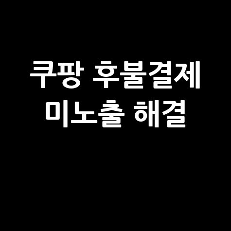 쿠팡 후불결제, 왜 안 보일까? 해결 방법 총정리