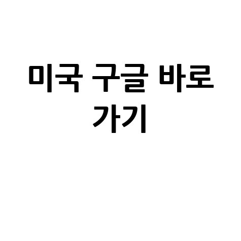 미국 구글 바로 가기 미국 구글 검색 방법