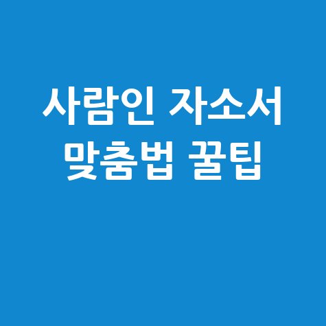 사람인 맞춤법 자소서 합격 꿀팁