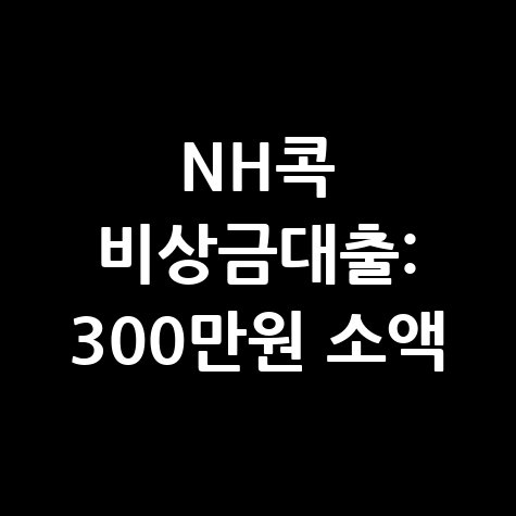 NH콕 비상금대출 300만원 무서류 간편신청