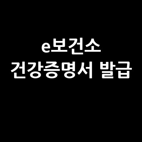 e보건소 건강증명서 발급