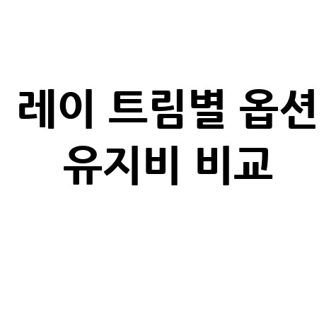 레이 트림별 옵션 유지비 비교