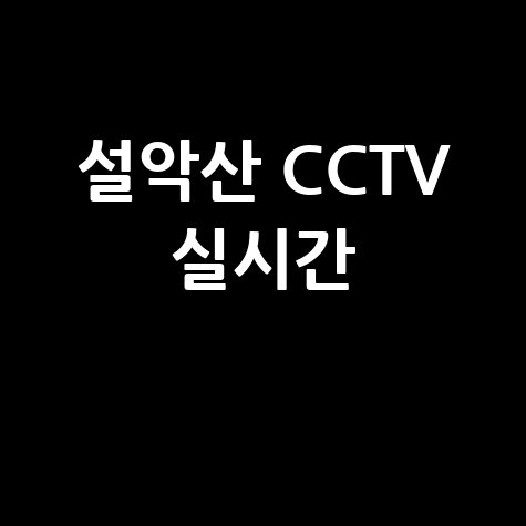 설악산 CCTV 실시간