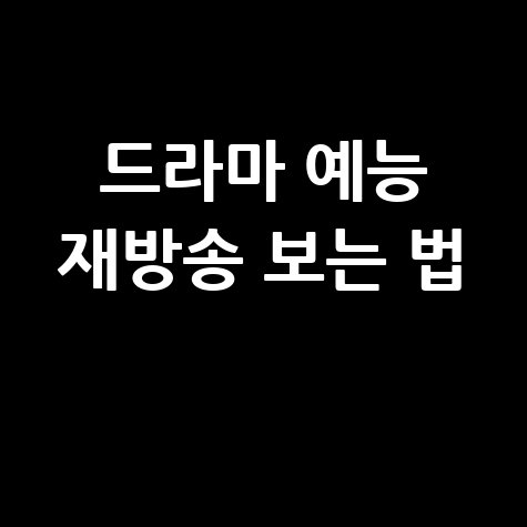 드라마 예능 재방송 다시보기 방법 완벽 정리